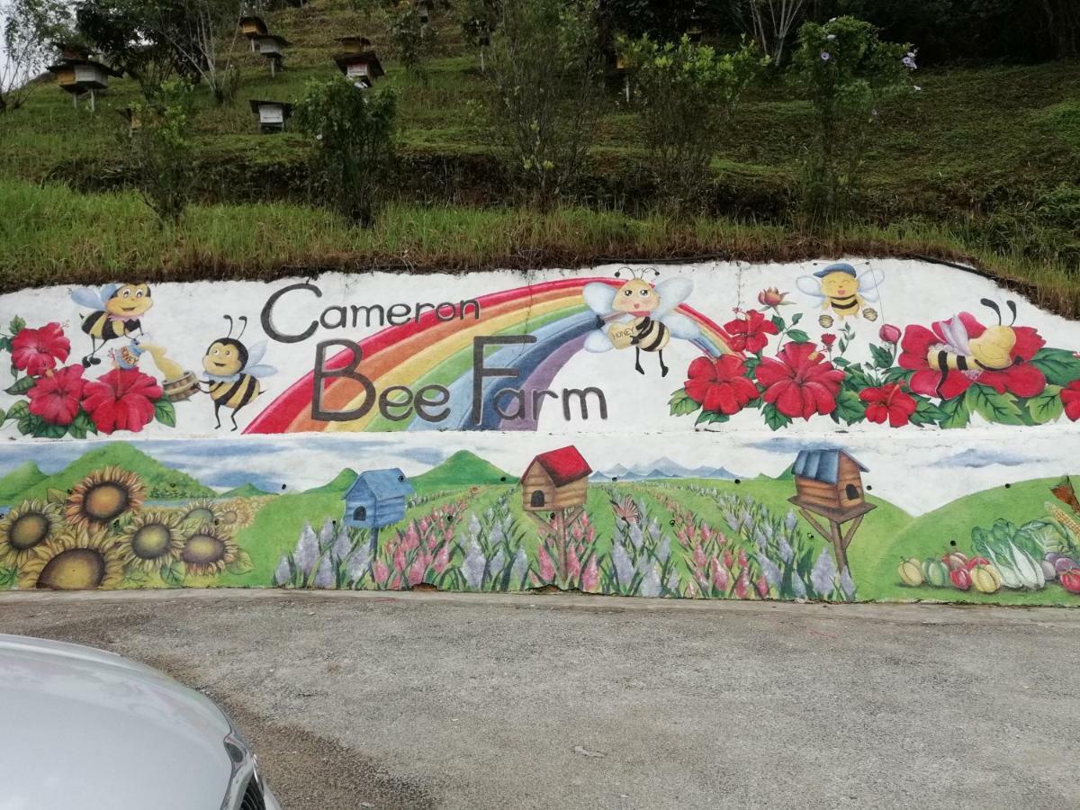 Mag At Crown Imperial Court, Brinchang * Cameron Highlands